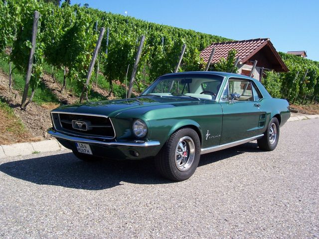 67 mustang klein.jpg