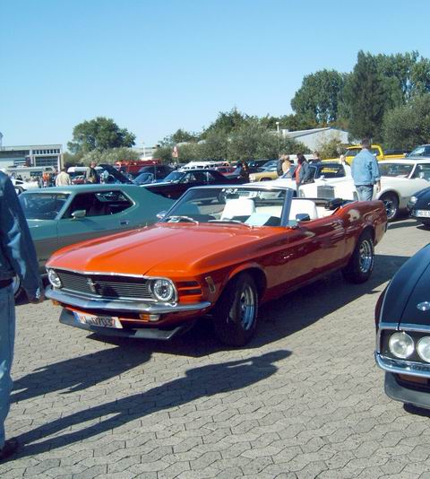 img00005.jpg