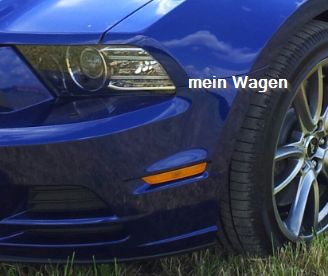 blinker-mein wagen.jpg