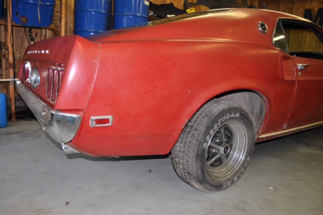 mustang07.jpg