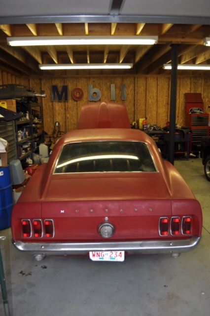 mustang12.jpg