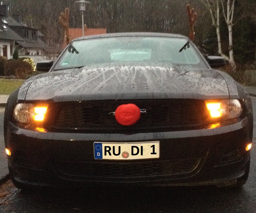ru-di 1.jpg